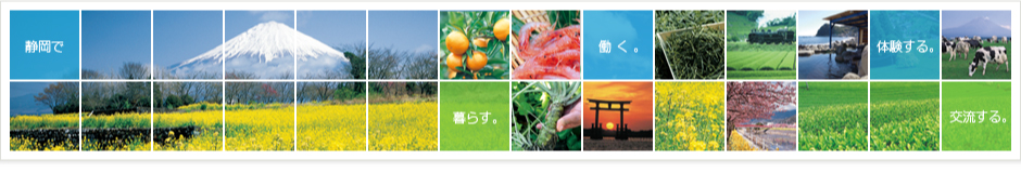 静岡県で暮らす。働く。体験する。交流する。
