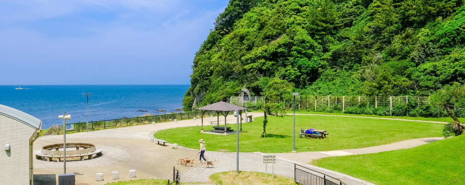沼津市