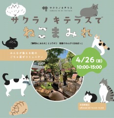 サクラノキテラスでねこまみれ