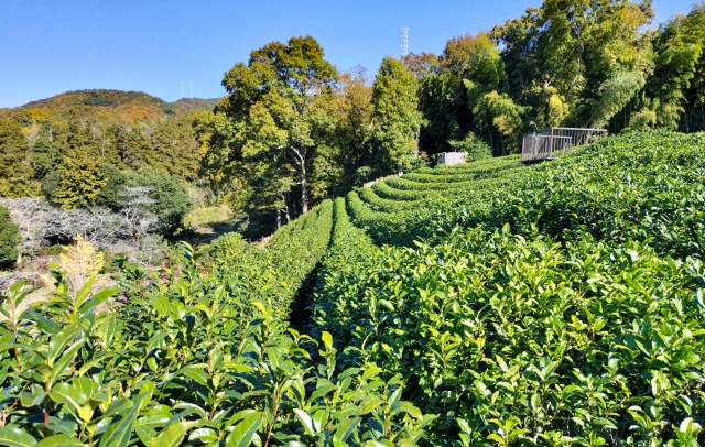 日照時間全国トップクラス